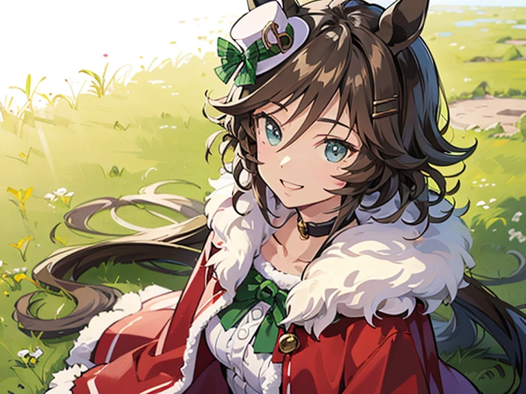 best quality, absurdres, masterpiece, 
Mr.CB \(umamusume)\
1人の女の子, female, delightful, grinning, 口を閉じる, smiling,歩く, looking to the left, long hair, center part, brown hair, green eyes, slant eyes, tall, slender, beautiful breasts, 30-year-old, ((simple red christmas costume, fake fur, poncho)) , in the grassland, ((simple red christmas costume, fake fur, Gothic Lolita))