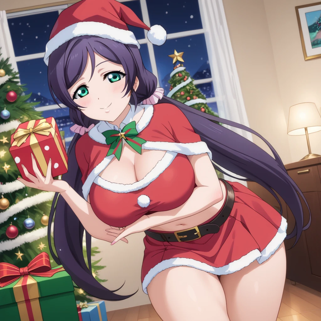 1girl, Solo, High Resolution, Masterpiece, High Quality, High Details, Anatomically Correct, 

best quality, expressive eyes, perfect face, perfect thighs, perfect anatomy, perfect breasts, perfect thighs, thighs, large breasts, solo, expressive eyes, perfect hands, perfect fingers, perfect anatomy, perfect hips, 


nozomi toujou, green eyes, purple hair, twintails, low twintails, scrunchie, long hair, 1girl, looking at viewer, santa outfit, santa hat, santa skirt, holding present box, night, evening, decorated xmas tree, indoors, living room, pov, giving gift, blushing at viewer