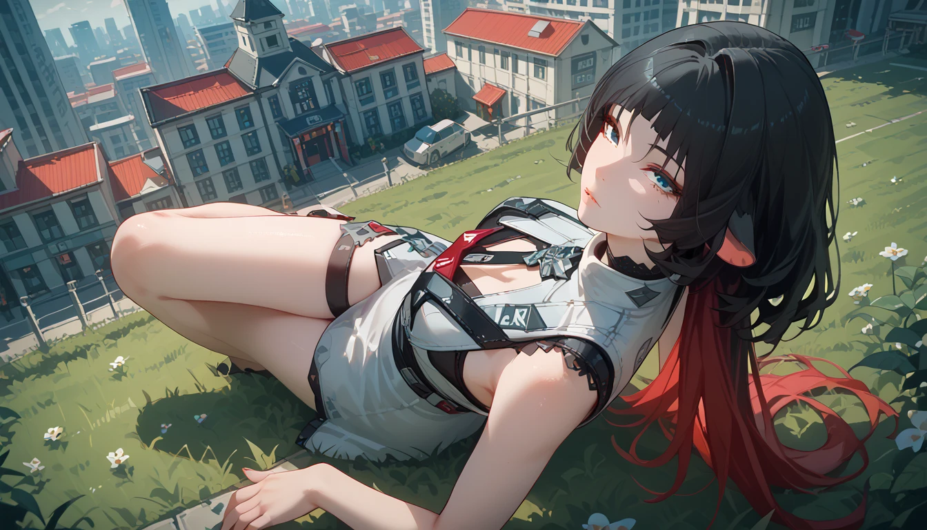 yanedoe- zzz, aqua eyes, long hair, black hair,  red hair , Animal ears,  looks at the viewer, Above the building,I look at the city, sexy clothes , lies on the grass,  legs raised up , erotica, very sexy,  sexy pose, summer dress,  sexy clothes ,