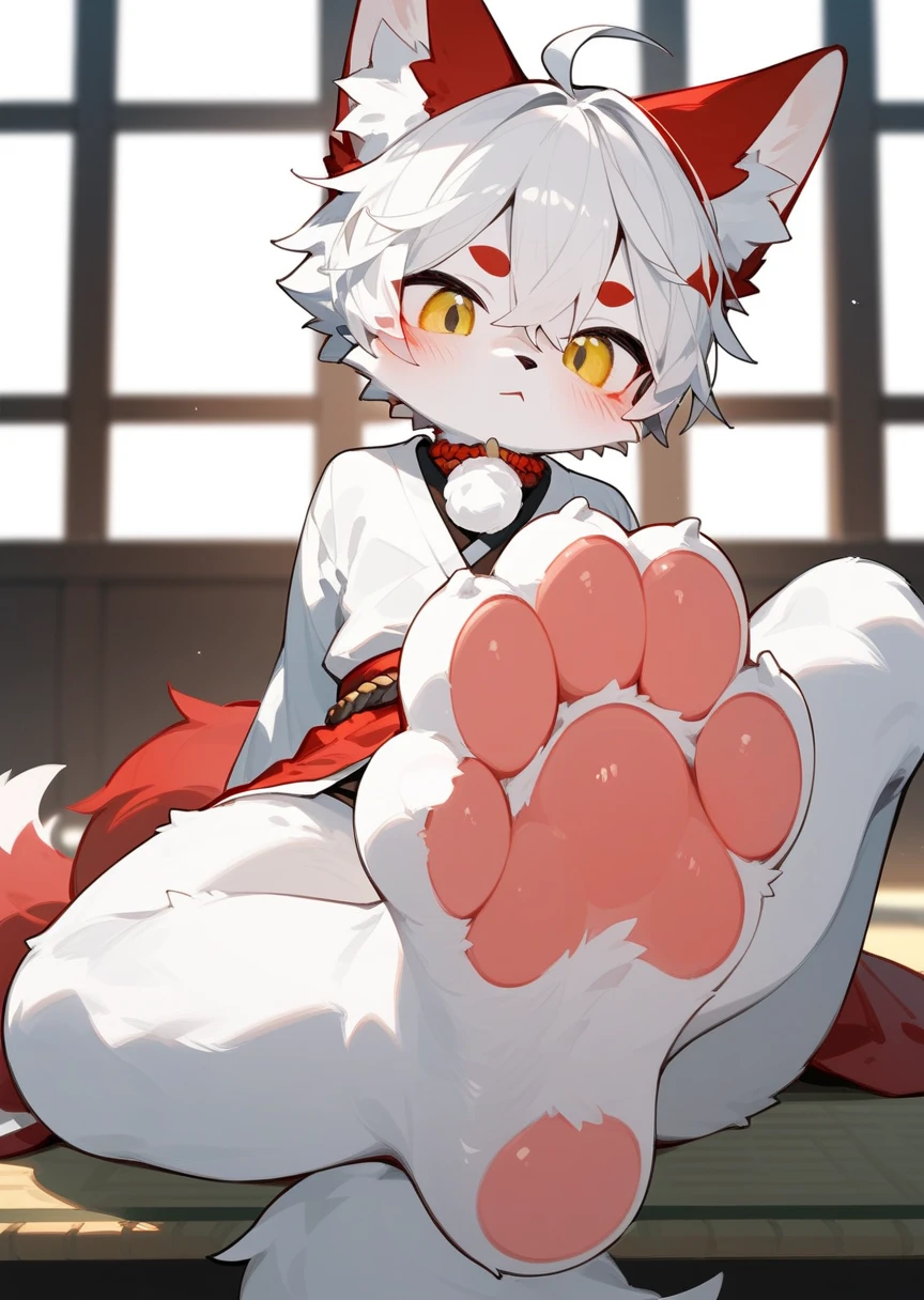 masterpiece,best quality,in the room，A cute fluffy furry kitsune male showing his feet,blush, Foot Focus,white fur with red ears, ,short white hair,half of tail is red,Anatomically correct, yellow eyes,fluffy leg, Look at the audience，scornful face