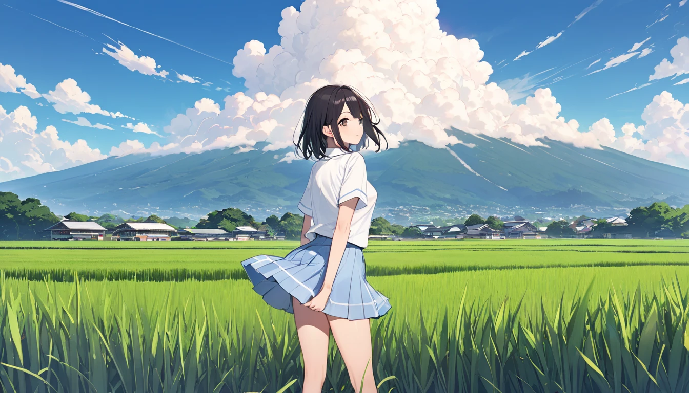   high school girl、 Short-sleeved plain shirt   、   with rice paddies stretching all the way to the horizon 、  I have a light blue miniskirt   、Clear sky and cumulonimbus clouds    