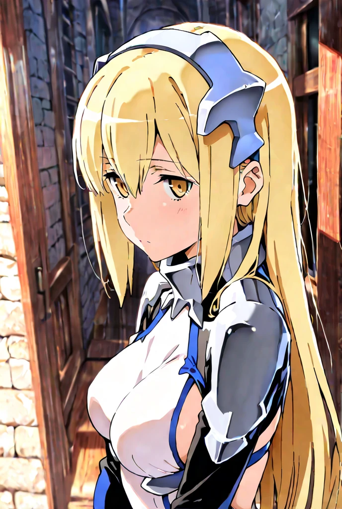 1girl,aiz wallenstein,dungeon ni deai wo motomeru no wa machigatteiru darou ka,
 , (masterpiece:1.2), (best quality:1.2), (very aesthetic:1.2), (absurdres:1.2), (detailed background), newest, intricate details,