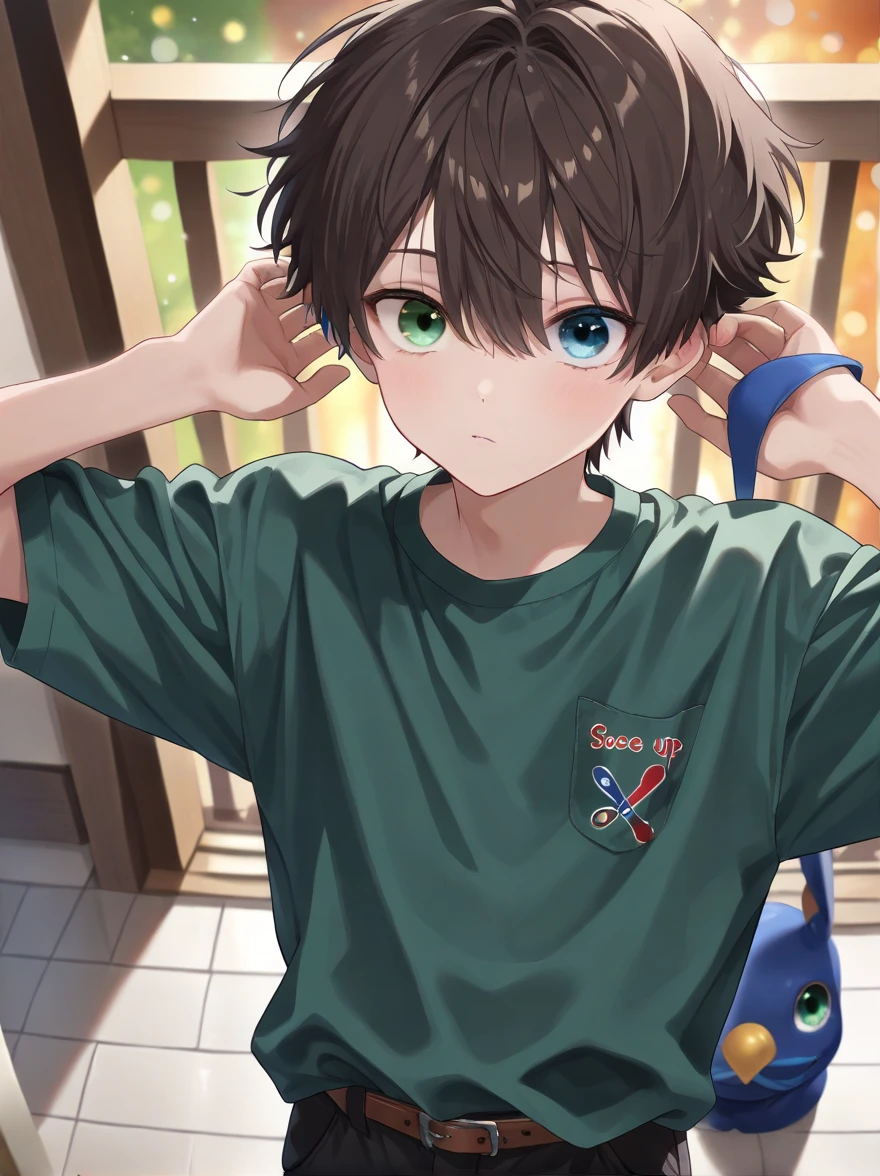 (masterpiece), (best quality), (High quality), high resolution, (perfect anatomy, perfect hands), (bokeh), (score_7up, scpre_8up, score_9), ((1boy)), standing, ((short height)), ((dark brown hair)), short hair, ((heterochromia, blue and green eyes: 1.6)), well bulid, (green and blue shirt), black pants