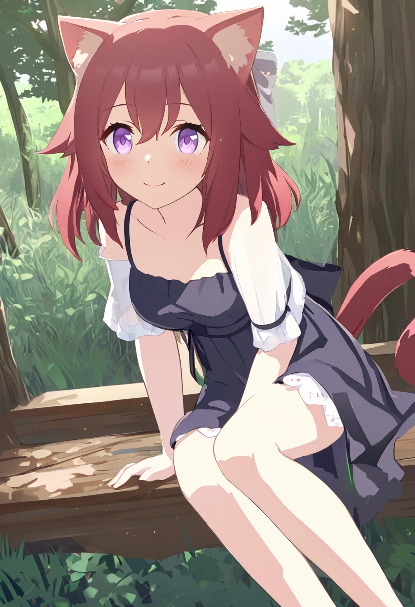  top quality 、 One Girl 、 Anime Paint、cat ear tail 、Cute single tusk、Shiny red hair、 short hair、 purple eyes、 in the woods、The sun shines in、 slender body、Slender legs、Tiny breasts、 white and black dress、blush、smile