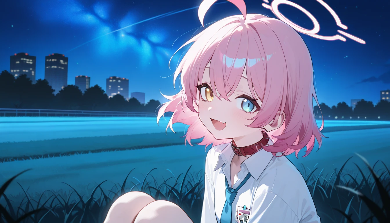 masterpiece, top quality, very aesthetic , very high resolution ,1 woman,Hoshino_\( blue _ storage \),Pink_hair,Alone,Heterochromia,White_shirt,long_hair, blue _eye,canine, blue _tie,Ahogeo,yellow_eye,Looking _~to_viewer,collar_shirt,outdoors,hair_  quality _eye,smile,The top _body,_card, open _mouth,Pink_halo,building,lucid_sky,Shoulder_Looking for a strap ,night,field,park,Sit down,star of sky,looking at the stars in the night sky,stars in the night sky,long hair