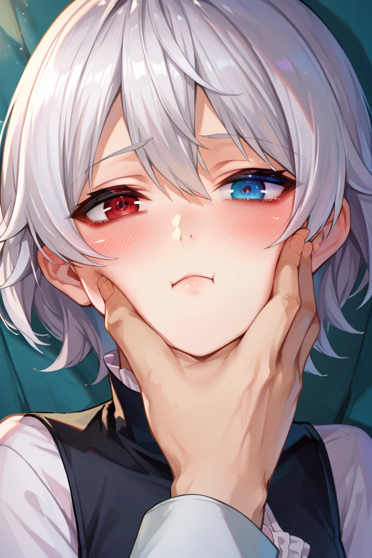 score_9, score_8_up, score_7_up, score_6_up, 1girl, 1boy, 2d, facegrab, closed mouth, blush, half-closed eyes, looking at viewer, thumb, close-up, 1girl, short hair, silver hair, solo focus, 4K, ulutra detailed ,masterpiece,highest quality,beautiful detailed eyes,Small breasts,(Heterochromia iridis),(left eye,Red eyes),(right eye,blue eyes),