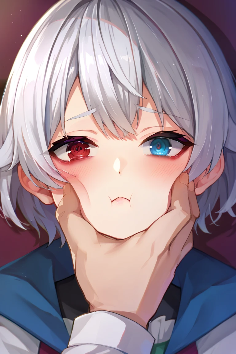 score_9, score_8_up, score_7_up, score_6_up, 1girl, 1boy, 2d, facegrab, closed mouth, blush, half-closed eyes, looking at viewer, thumb, close-up, 1girl, short hair, silver hair, solo focus, 4K, ulutra detailed ,masterpiece,highest quality,beautiful detailed eyes,Small breasts,(Heterochromia iridis),(left eye,Red eyes),(right eye,blue eyes), not bad finger, not bad hand