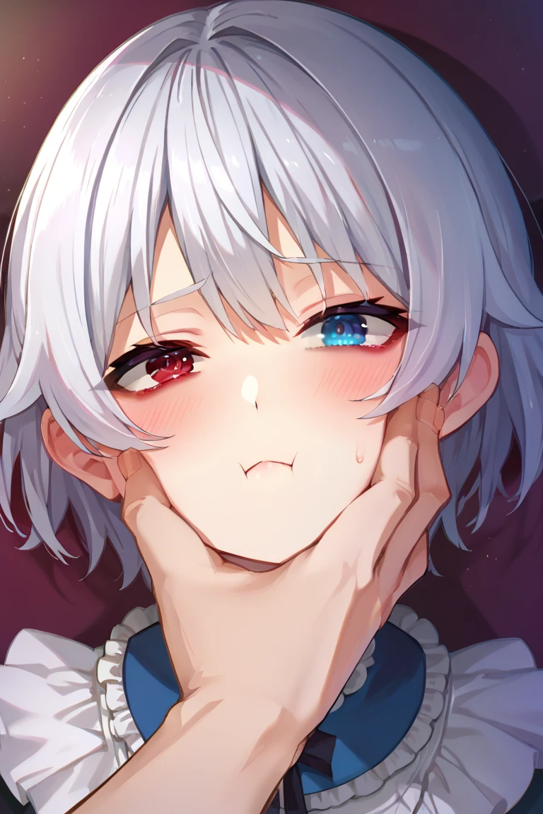 score_9, score_8_up, score_7_up, score_6_up, 1girl, 1boy, 2d, facegrab, closed mouth, blush, half-closed eyes, looking at viewer, thumb, close-up, 1girl, short hair, silver hair, solo focus, 4K, ulutra detailed ,masterpiece,highest quality,beautiful detailed eyes,Small breasts,(Heterochromia iridis),(left eye,Red eyes),(right eye,blue eyes), not bad finger, not bad hand