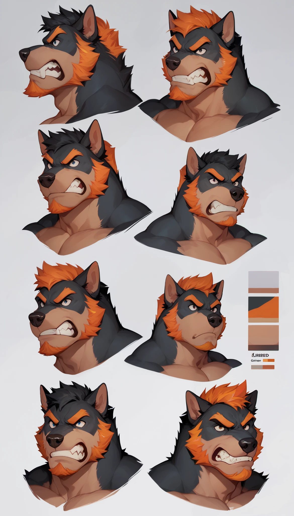 Wolf archer. Portrait. Head and pectorals focus. Masculine, buff, broad shoulders, Full body, black fur, orange highlights, beard, nude, dog sheath, character sheet, angry, growling, snarling, full body