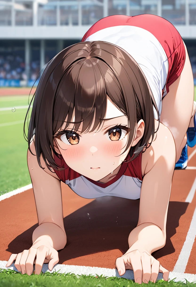 (high quality1.4), (finely detail:1.4),nsfw, 1 girl, megumin, brown hair, short hair with long locks, red eyes, (small breasts), (erectile nipples), ((torn green leotard)), cameltoe, anus, blush,((very bright stadium:1.4)), ((solo)), on one knee, (masterpiece, best quality, 8k:1.4),