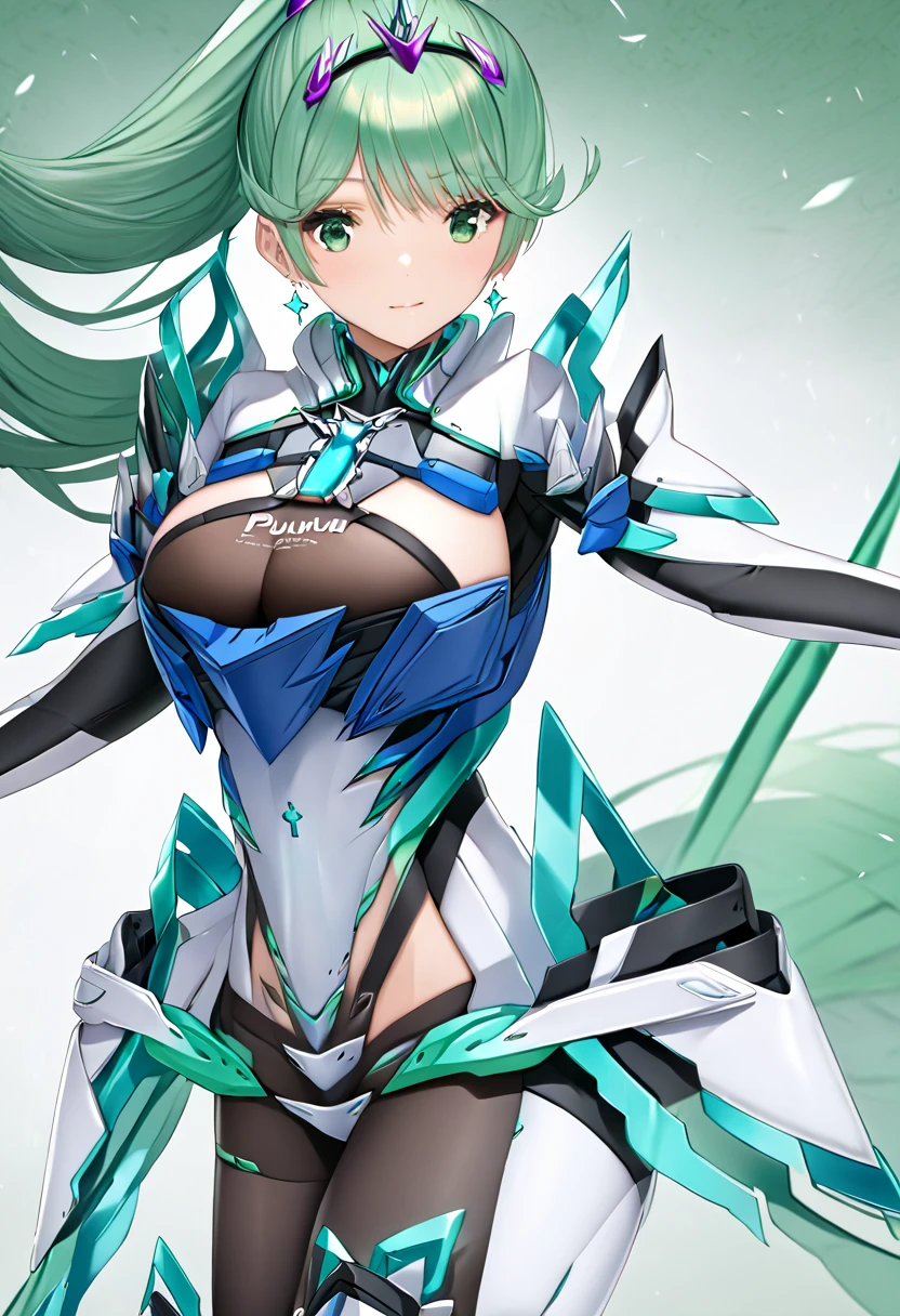  top quality 、 super detailed 、 high res illustration、Ultra-high-definition CG、８k size wallpaper、 production art、Puneuma、 green eyes、 green hair、 tiara 、 ponytail、 earrings for women with first name、 big breasts、armor、 Chest Jewel 、white gloves、Elbow gloves、