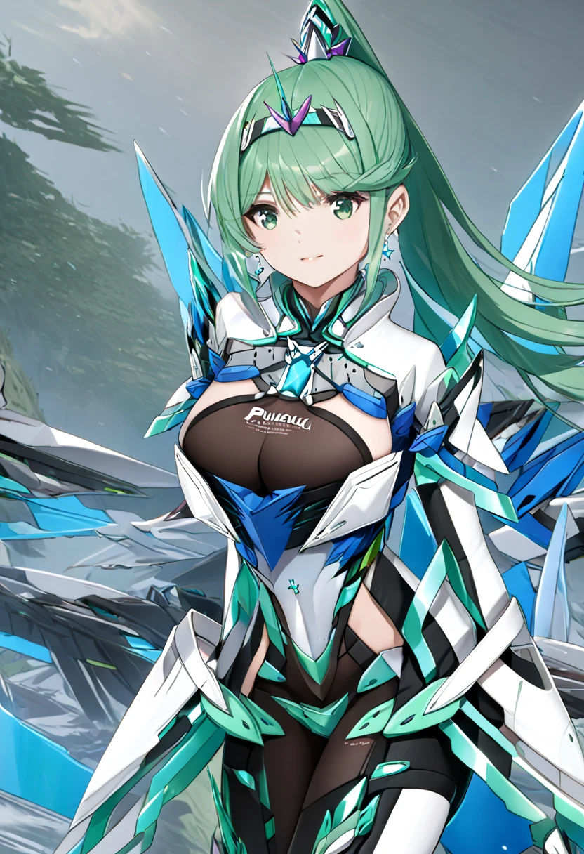  top quality 、 super detailed 、 high res illustration、Ultra-high-definition CG、８k size wallpaper、 production art、Puneuma、 green eyes、 green hair、 tiara 、 ponytail、 earrings for women with first name、 big breasts、armor、 Chest Jewel 、white gloves、Elbow gloves、