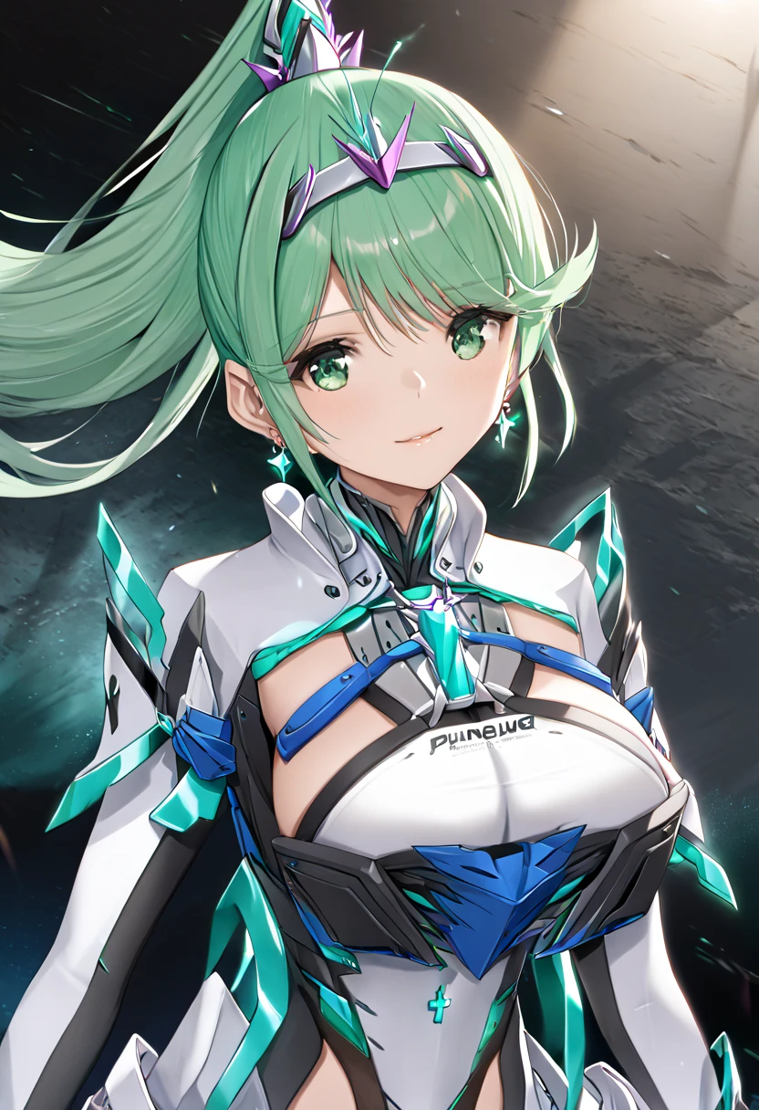  top quality 、 super detailed 、 high res illustration、Ultra-high-definition CG、８k size wallpaper、 production art、Puneuma、 green eyes、 green hair、 tiara 、 ponytail、 earrings for women with first name、 big breasts、armor、 Chest Jewel 、white gloves、Elbow gloves、