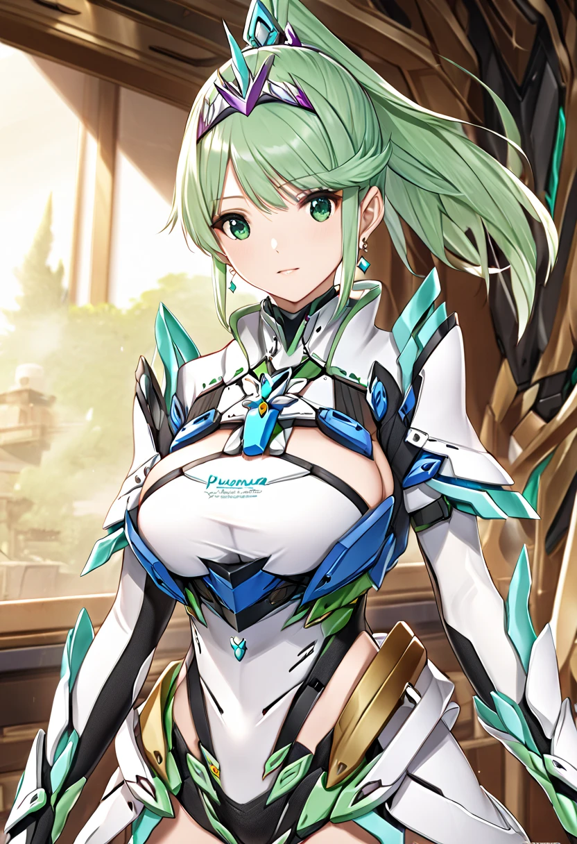  top quality 、 super detailed 、 high res illustration、Ultra-high-definition CG、８k size wallpaper、 production art、Puneuma（ Xenoblade）、 green eyes、 green hair、 tiara 、 ponytail、 earrings for women with first name、 big breasts、armor、 Chest Jewel 、white gloves、Elbow gloves、whole body