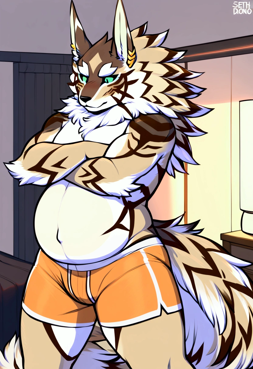 One human male is in the process of transforming into the beastly form of the Pokémon Arcanine. He is a mixture of human and Arcanine parts. He is very fat and bulky.
He is kneeling, his left hand on the floor, his right hand on his cheek and a pained expression on his face.