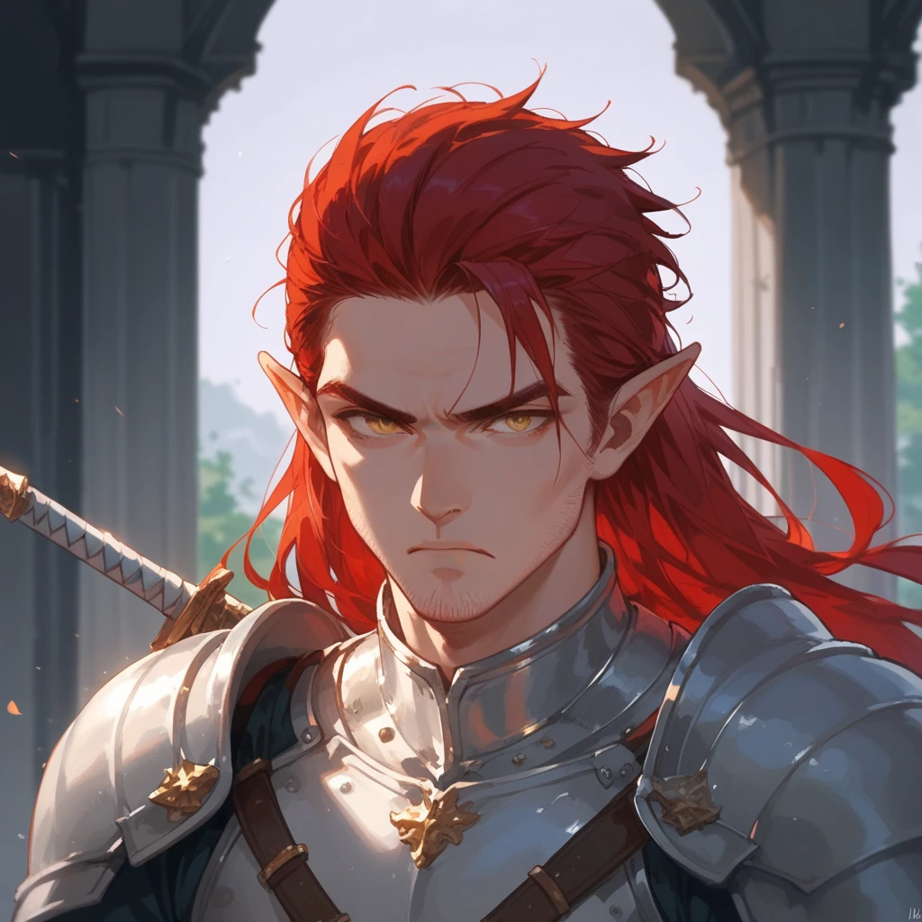 (score_9, score_8_up), score_7_up, 1man, long red hair, warrior knot hair stile, hair hiding ears partially, short pointed ears, stubble on chin, battle worn, armour, longsword on back, stern, emotionless, aloof, golden eyes, menacing, 40 years old, staring at camera, castle background, scowling, 