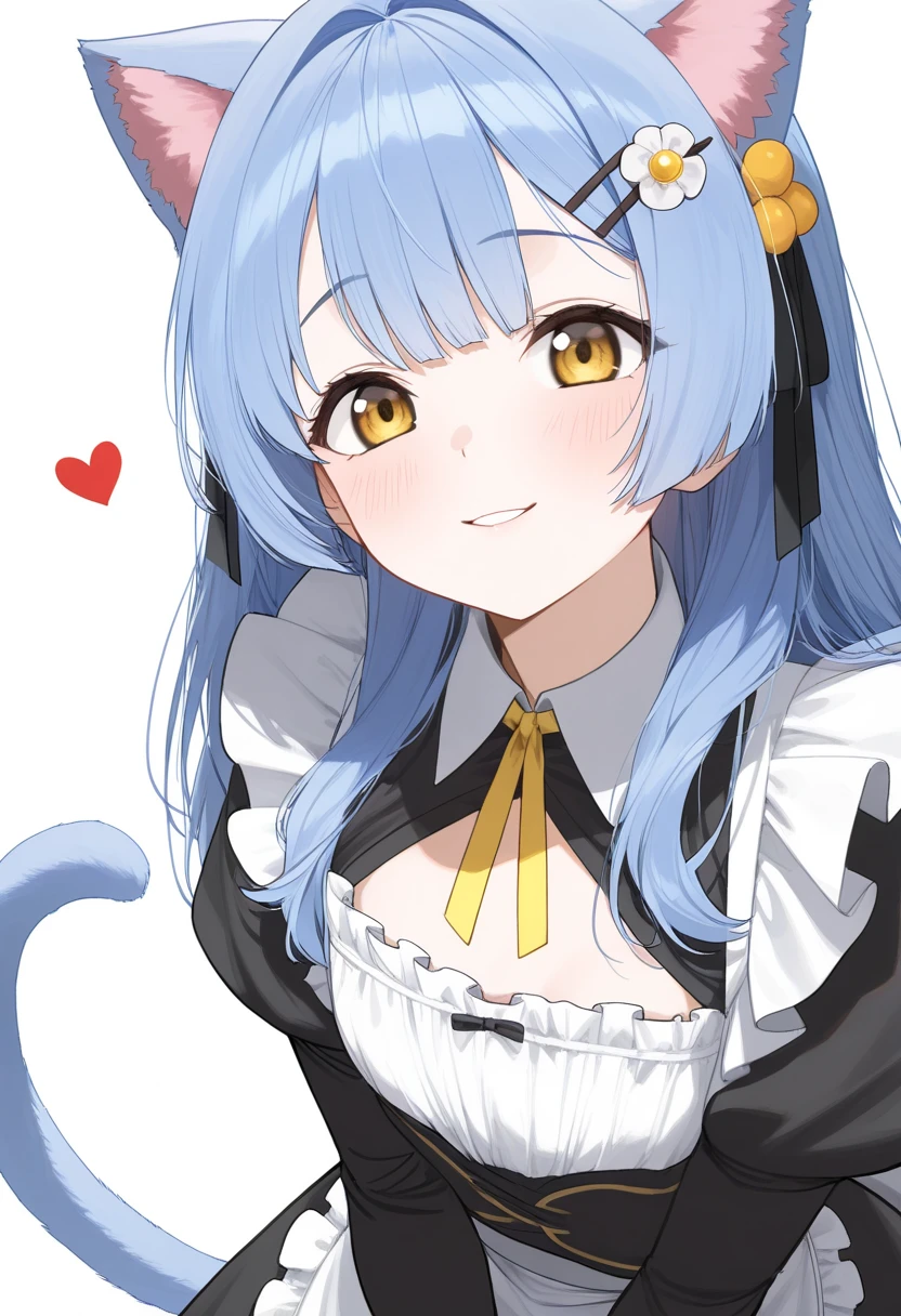 Look_( something that sings),  1 Woman ,   long hair,   animal ears  ,   Blue Hair, Chest,   yellow eyes,  Blanking in the Heart of the City, single   good, cat Tail,   brown eyes, medium Chest, cat ears,   good,  hair accessory as Kamui ,   Hairstick , hairpin,   maid clothes, 視聴者をLook, Alone, Tail, White background,    simple background, smile, shut up, 