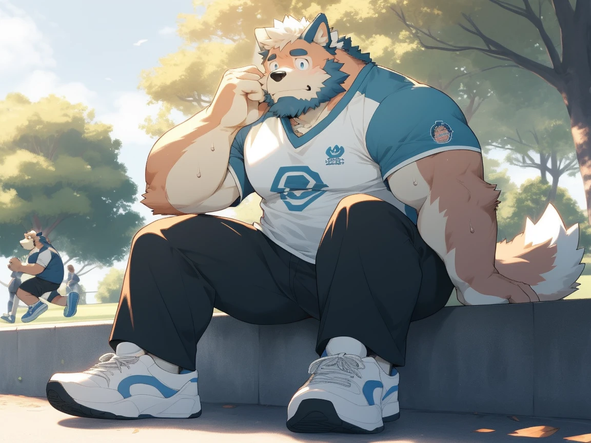 Gray Bear Man, social fear, blush, Looking shyly at the camera, sweat, Gym, short sleeves, shorts, sports shoes, Slightly fat, sitting position, stick out tongue, beg for mercy