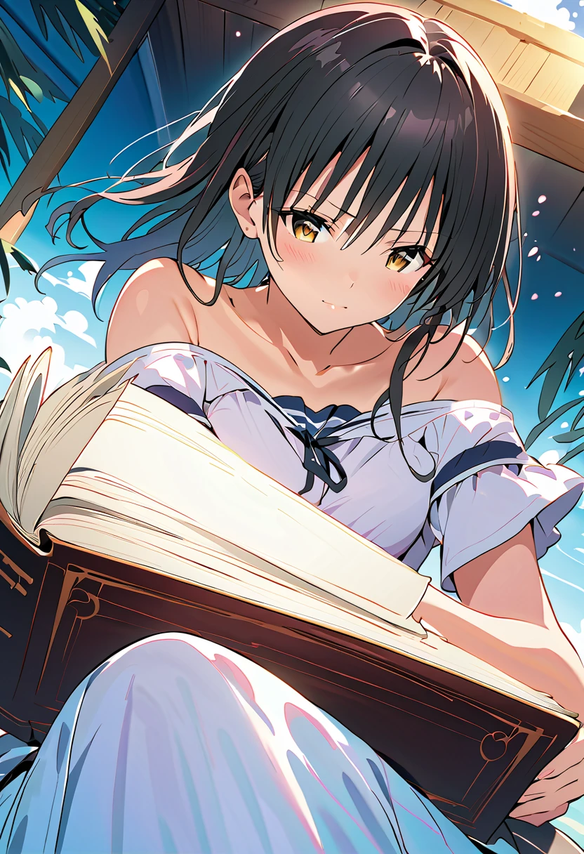  light novel illustration