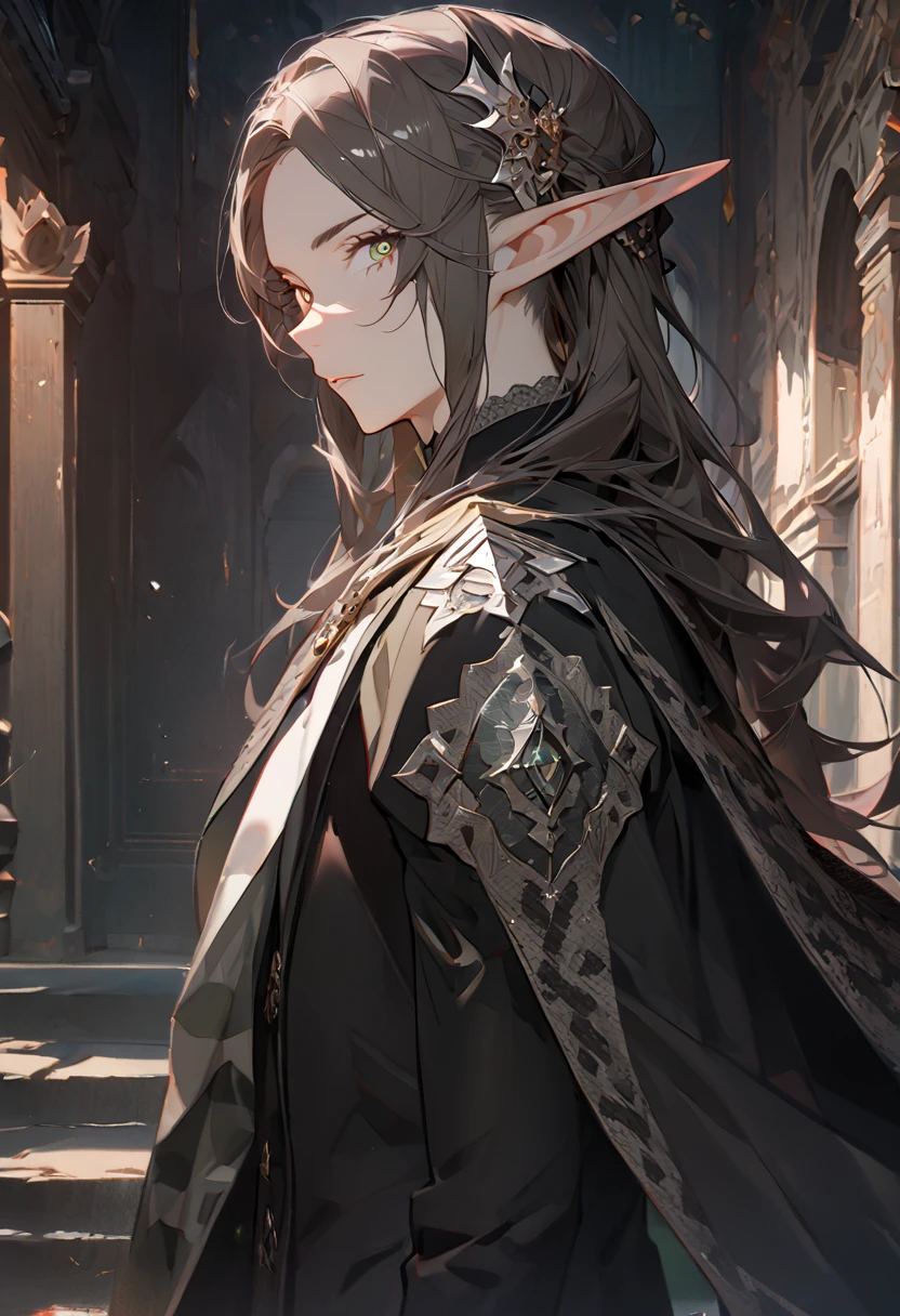 ((masterpiece), (best quality), (8k) ,(4k)) , Solo, ((male), (elf), (long ears elf)), ((dark grayish hair), (dark greenish eyes), (hair ornament)), ((finely detailed eyes and detailed face), (looking at viewer), (from side)), ((meticulous clothes), (formal clothes), (combination of white and black coat), (half cape by the shoulders), (patterned clothes)), ((majestic looks), (sharp looks)), shadows, inspired by Asukaziye artist : ask, art style : ask