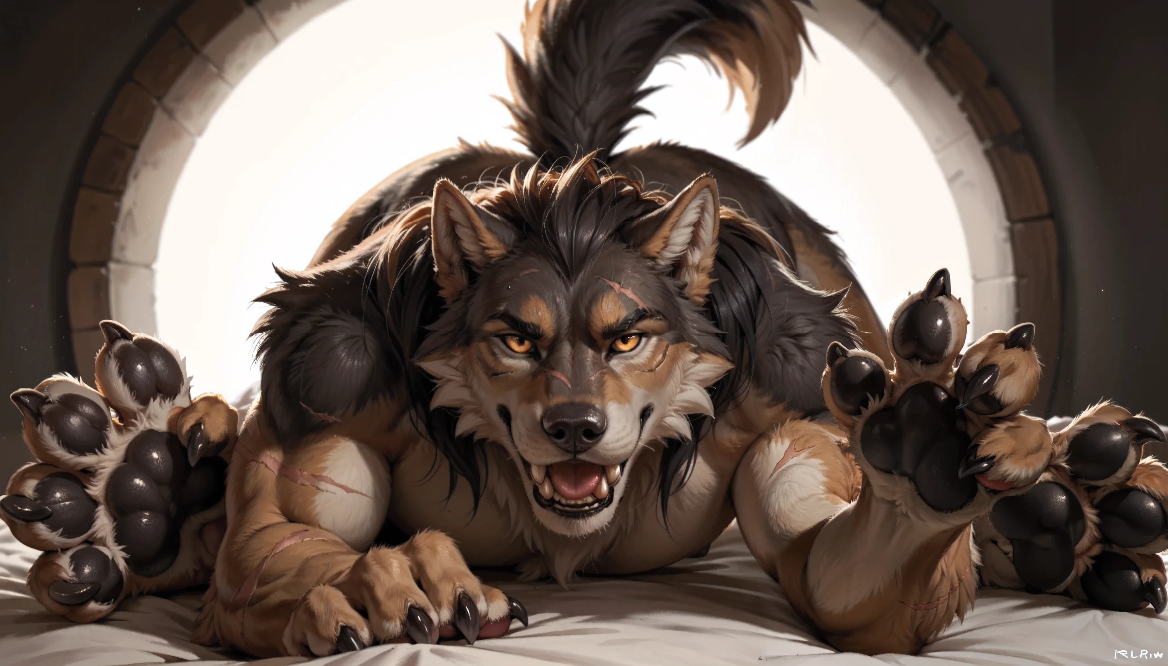 Werewolf laying on bed, Pov, Wolf paw, pawpads, claws, fur, scars