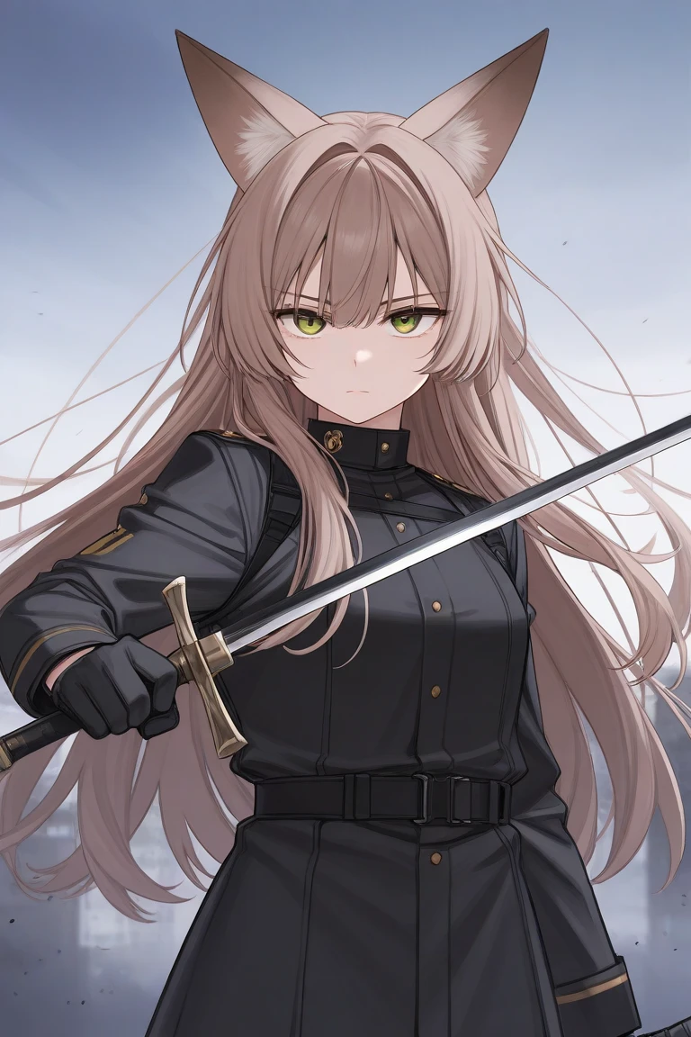 Brown long hair, fox ears, sword in hand, serious look, wearing black clothes