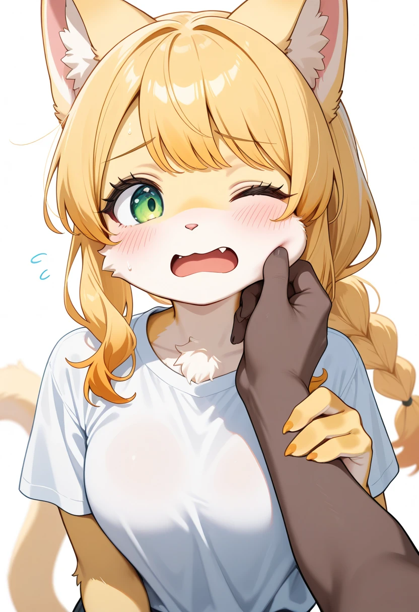 1girl, (furry, kemono:1.5), cat girl, animal nose, cat ears, cat tail, 1other, blonde hair, green eyes, one eye closed, pinching, cheek pinching, cheek pull, long hair, blush, open mouth, eyelashes, braid, ponytail, shirt, flying sweatdrops, short sleeves, poking, white background, simple background, upper body, solo focus, white shirt, hand up, 