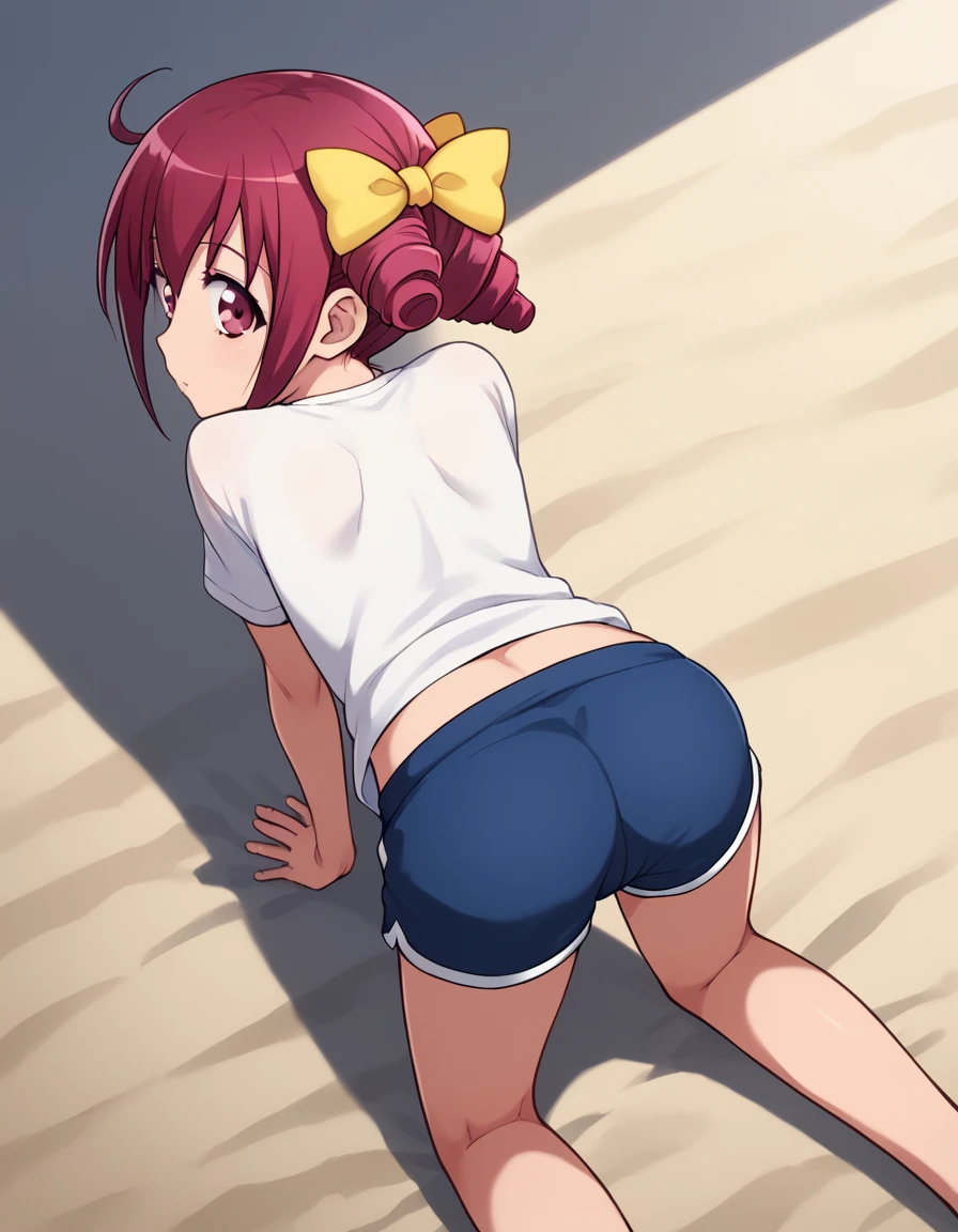 score_9,  source_Anime, rating_SAFETY BREAK 1GIRL , solo
hoshizora miyuki ,  pink hair,  twin drill, pink eye,((((T-Shirts、Shorts))))、( flat chest)、(beach)、(( on all fours 、Backwards、 Looking Back))