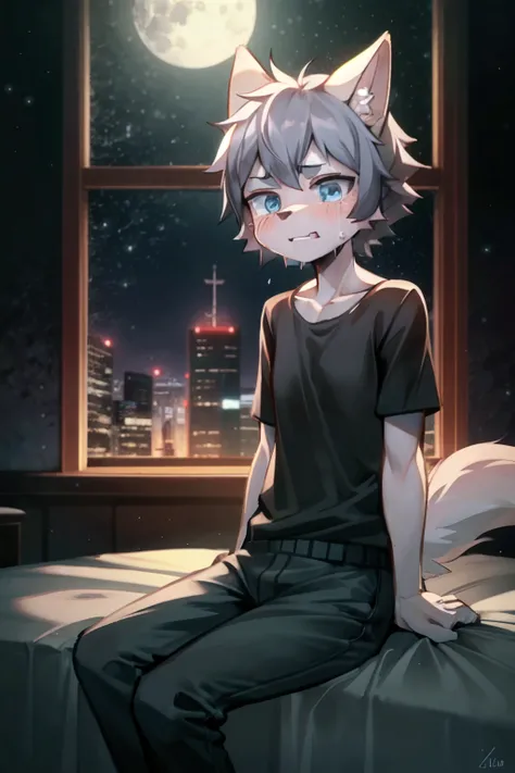 a cute fluffy gray cat with beautiful detailed blue eyes, wearing a t-shirt and shorts, handsome young boy with extremely detailed facial features, masterpiece, surreal, wildlife, bedroom background, ambient lighting, adorable