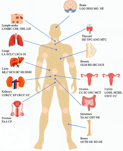 Imagine a person with the organs out