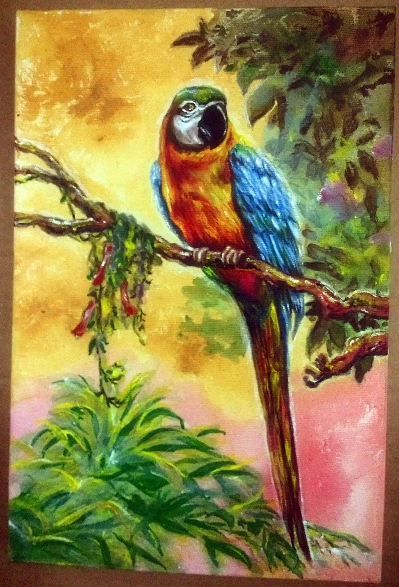 Pássaros