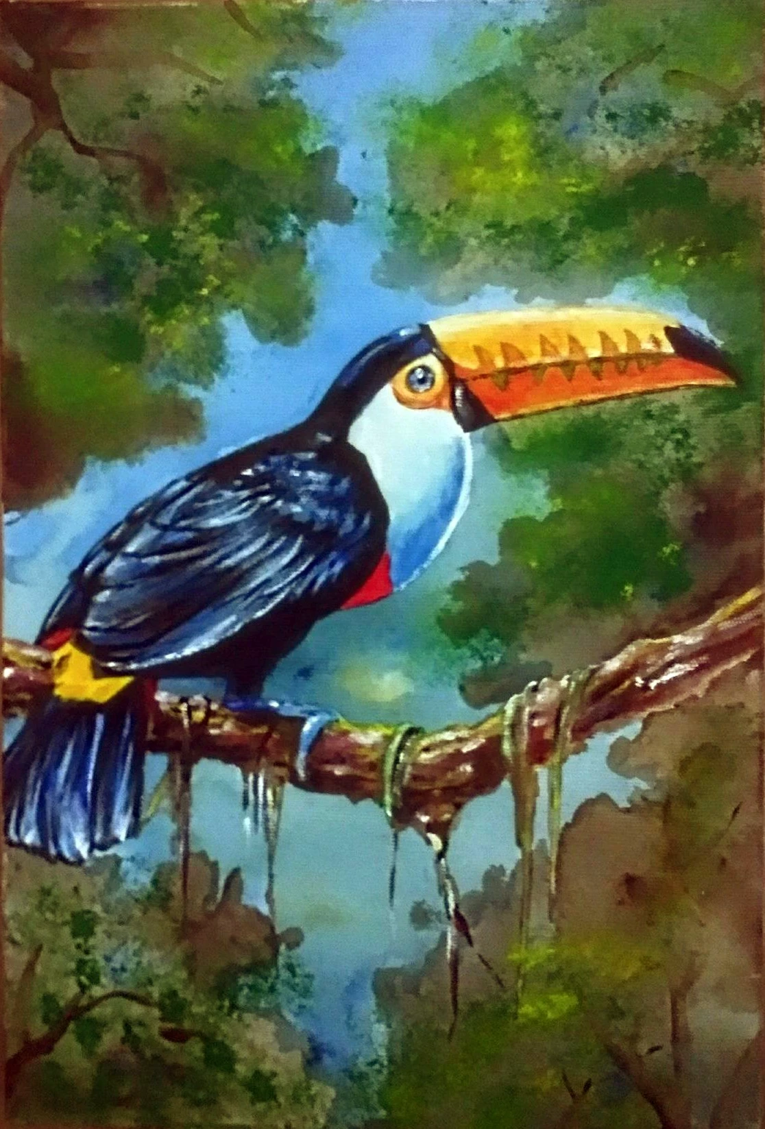 Pássaros