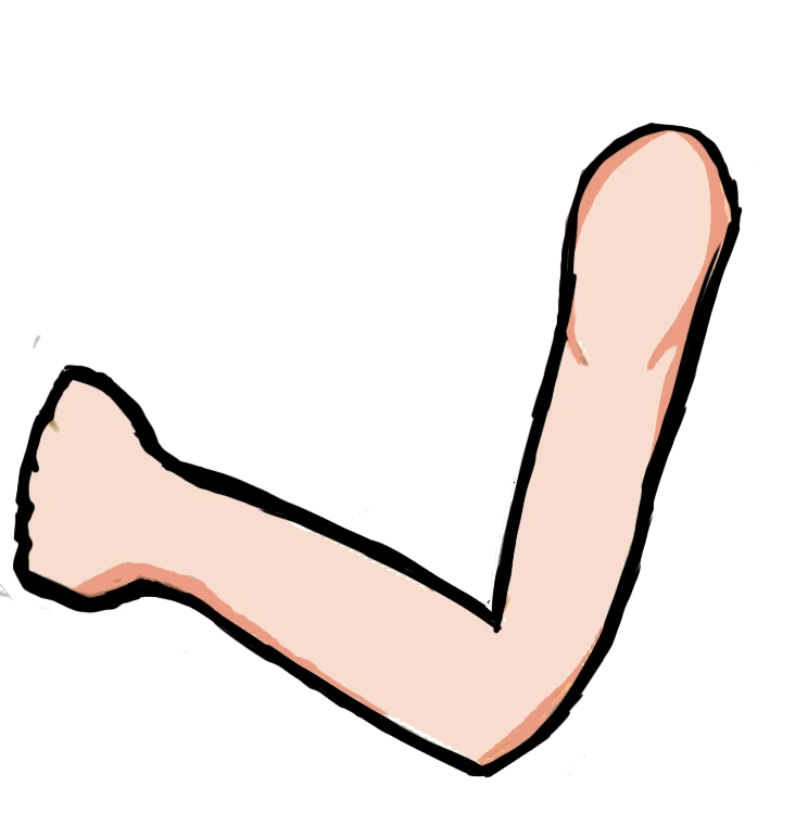 zdfe sdfsf