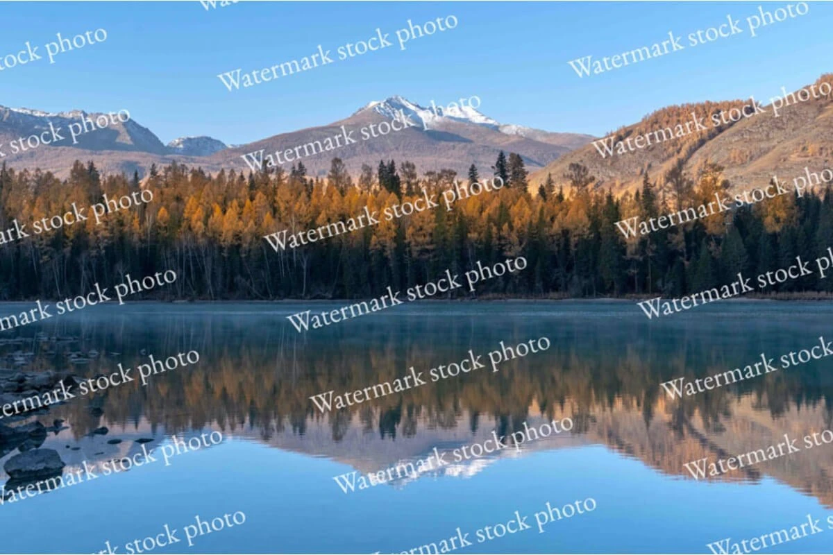 The Watermark Remover Workflow is designed to effectively eliminate watermarks and logos from images utilizing SAM (Segment Anything Model) meta models. This simple user-friendly workflow may require running the process twice, once on the main image and a second on the output image, to ensure complete removal of all watermarks, providing a seamless and polished final image.