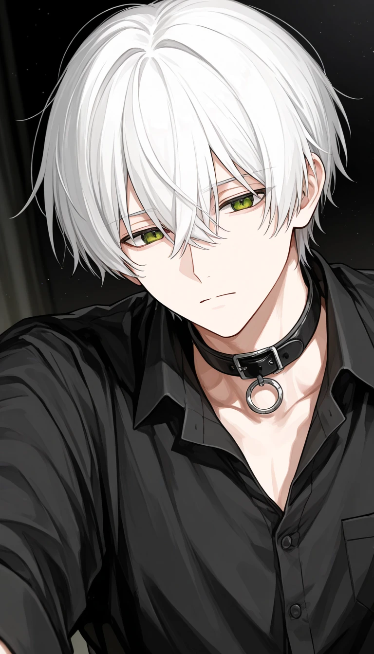 handsome, A 20 year old man, short white hair, green eyes, black collar shirt, Idol.