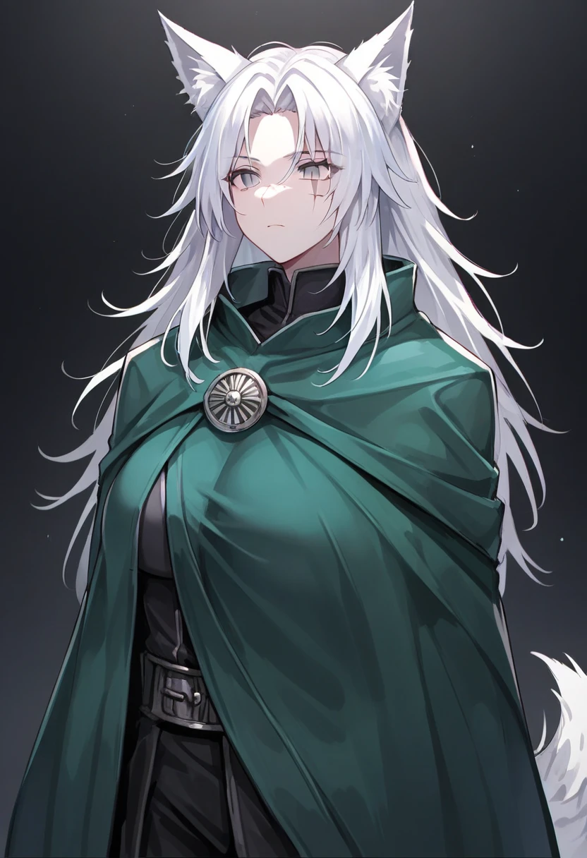 One woman, mature, female anime character with white hair, large wolf ears, wolf tail, expressionless, green cloak, worn ancient plain armor, face scars, gray eyes, dead eyes, slit pupils, black undersuit, rogue anime woman, detailed anime character art, necromancer, dark, female anime character, anime character art, facing center,ultra-detailed,dark colors, dark lighting, dark background, sharp focus, AissistXLv2 