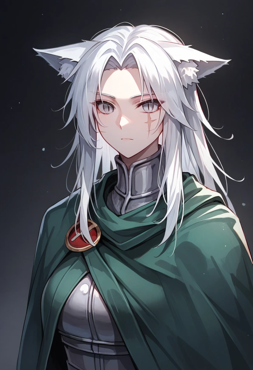 One woman, mature, female anime character with white hair, large wolf ears, wolf tail, expressionless, green cloak, worn ancient plain armor, face scars, gray eyes, dead eyes, slit pupils, black undersuit, rogue anime woman, detailed anime character art, necromancer, dark, female anime character, anime character art, facing center,ultra-detailed,dark colors, dark lighting, dark background, sharp focus, AissistXLv2