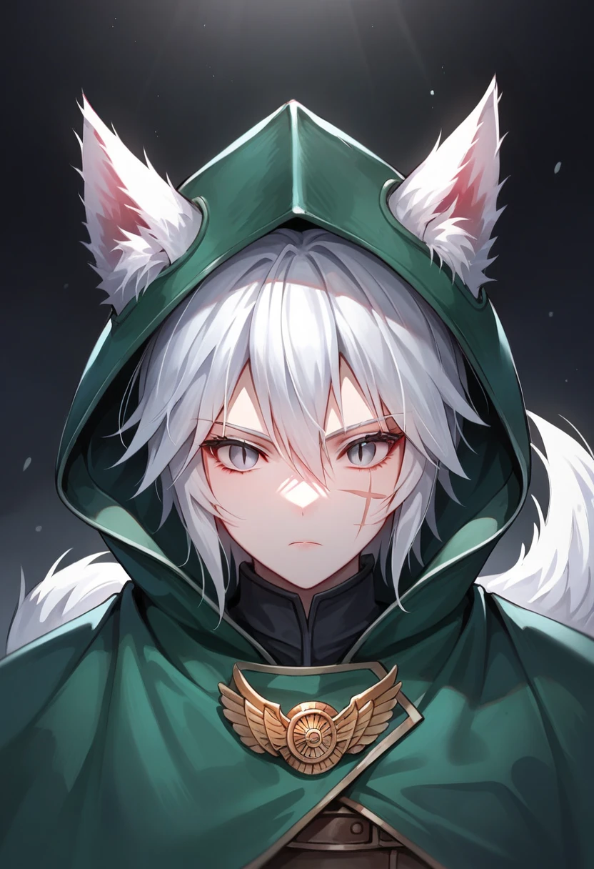 One woman, mature, female anime character with white hair, large wolf ears, wolf tail, expressionless, green cloak, worn ancient plain armor, face scars, gray eyes, dead eyes, slit pupils, black undersuit, rogue anime woman, detailed anime character art, necromancer, dark, female anime character, anime character art, facing center,ultra-detailed,dark colors, dark lighting, dark background, sharp focus, AissistXLv2, ENDXL_Neg.