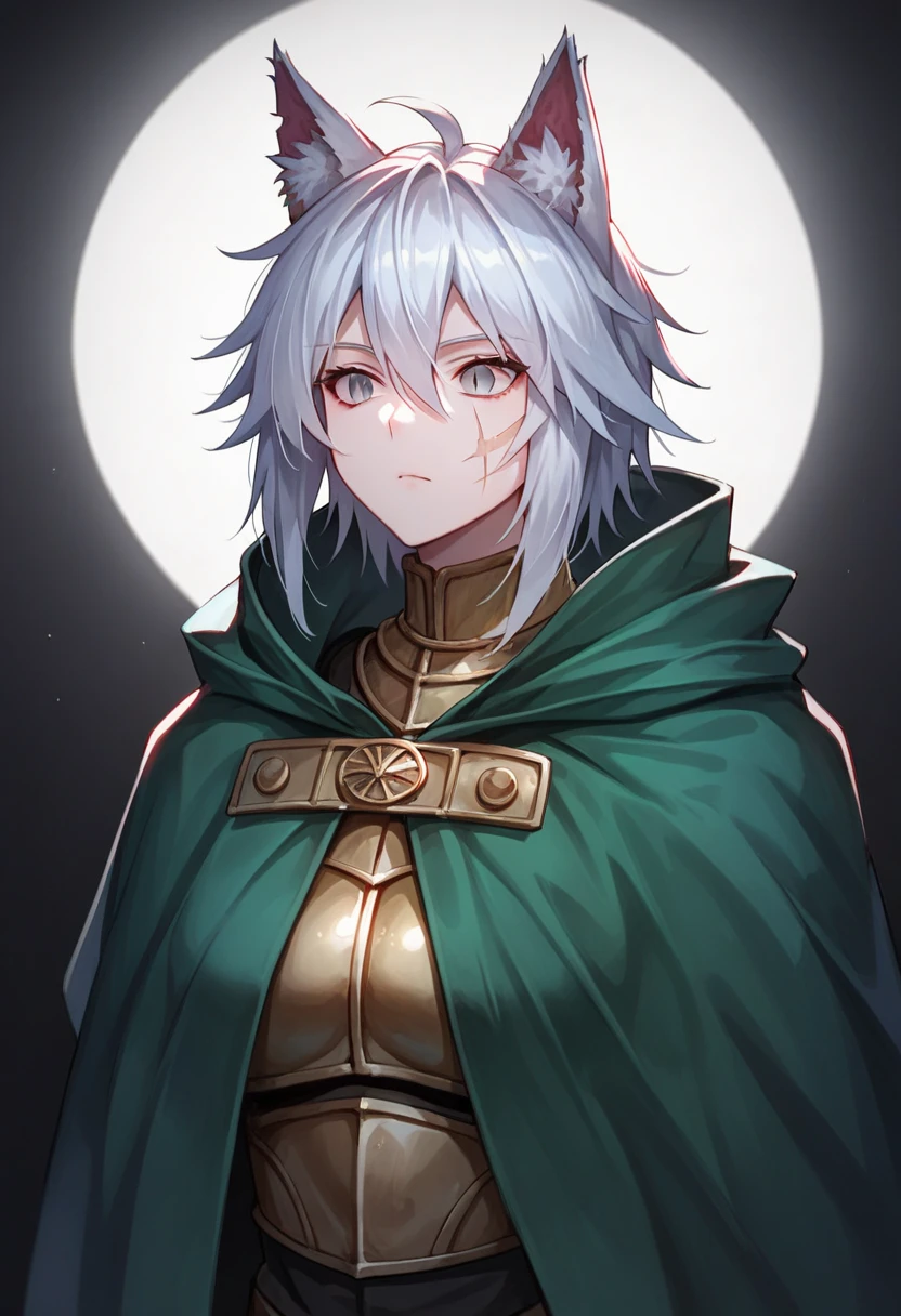 One woman, mature, female anime character with white hair, large wolf ears, wolf tail, expressionless, green cloak, worn ancient plain armor, face scars, gray eyes, dead eyes, slit pupils, black undersuit, rogue anime woman, detailed anime character art, necromancer, dark, female anime character, anime character art, facing center,ultra-detailed,dark colors, dark lighting, dark background, sharp focus, AissistXLv2, ENDXL_Neg.