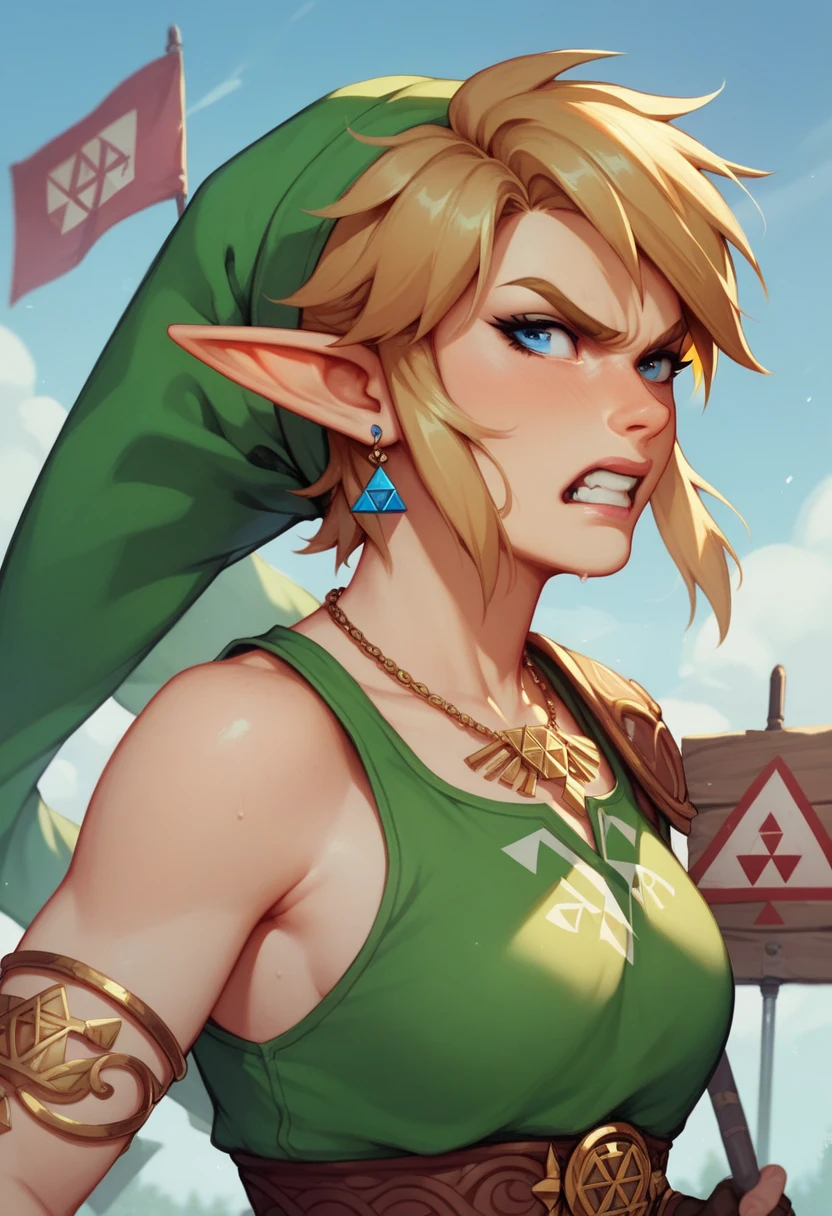 A link  (  Zelda)  that is angry and a sign with the Swiss flag on it