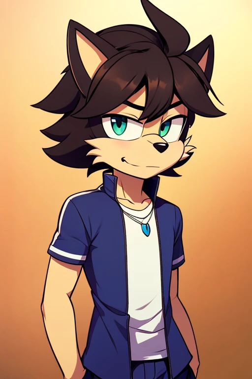 Male furry teenager amirhossein ajorloo sonicfurrymix style 