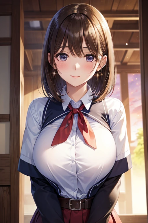 anegasaki nene、 shiny chestnut hair ,  shorthair , ( brown pretty eyes 、 sparkling eyes , Fine grain)、smile、 super detailed eyes、 very detailed face ,  highly detailed eyes ,(masterpiece:1.3), cowboy shot, (woman一人のみ, Alone)、


( High Quality ,  high resolution,  details,  realistic), campus,  evening , The sunset is shining, Alone,  school uniform, woman,  tilting your head , Sparkling Eyes,   detailed eyes , smile, ,  Big Breasts, sweat,  oily skin ,  shallow depth of field