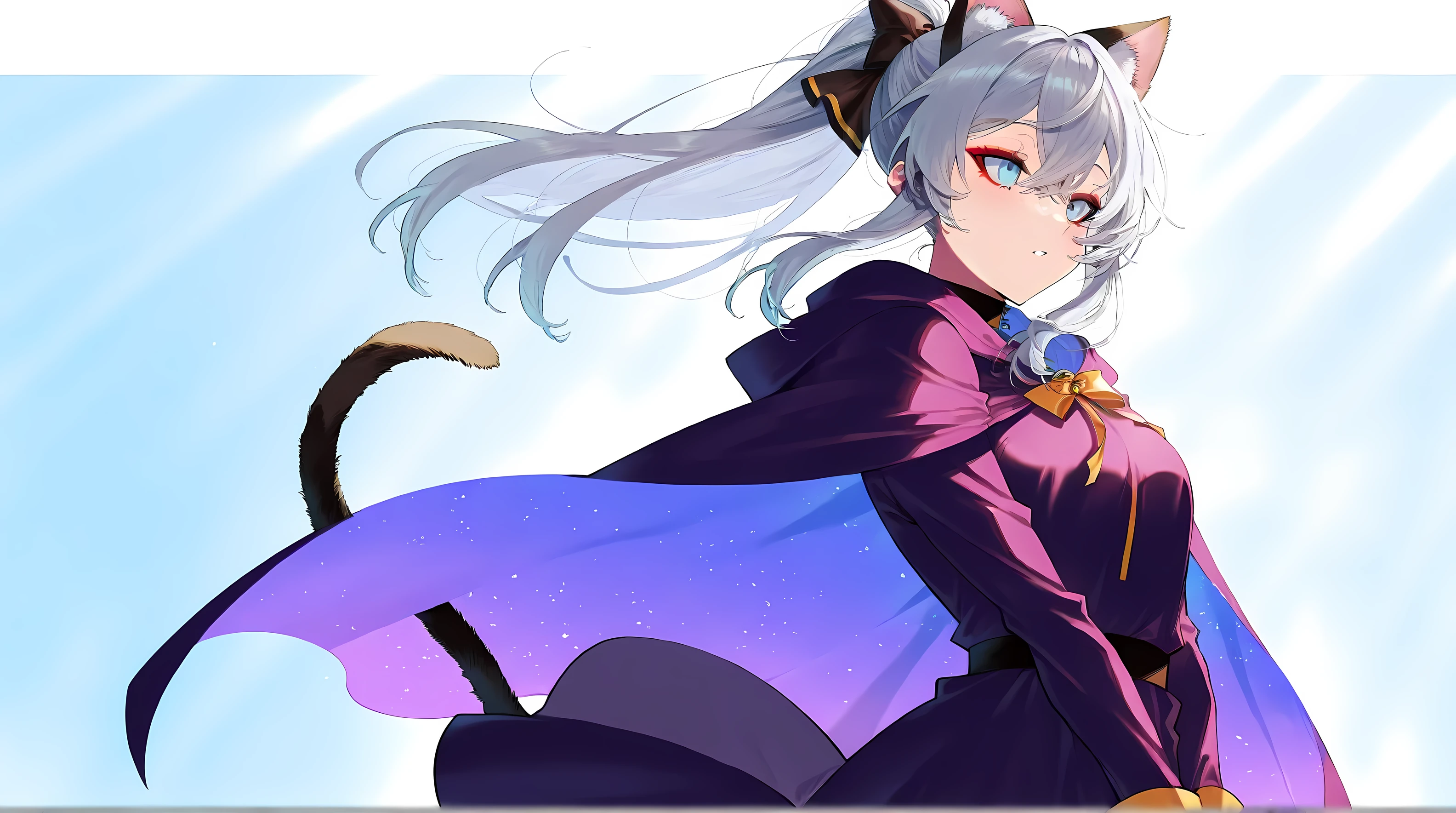 top quality、 more details、 High Resolution Illustration 、Ultra-high-definition CG、Cat ears、 Ponytail、Canine、 Witch Uniform、Gray Hair、Tail、Slanted Eyes、 light blue eyes、red eyeshadow、 eyeliner、 watching 、 One Girl 、chest