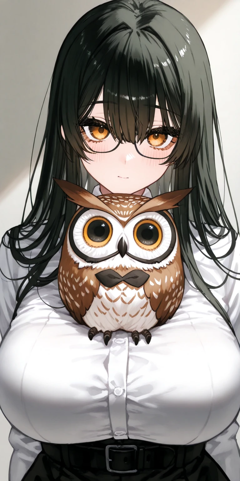 
(1girl\(chibi\) sit:1.3) ,(at top of huge owl:1.5).at sky. masterpiece, best quality
