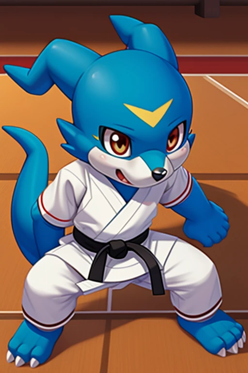 Veemon, ,digimon,Ojos rojos, multicolored body , blue body,cute ((( karate uniform ))) dojo,  full body, Open legs on the floor