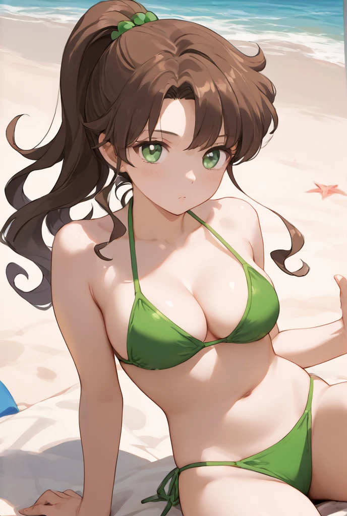 Source_9_up, source_8_up, source_7_up,, source_anime, ((masterpiece)), (best quality), (ultra-detailed), bangs, Ponytail, brown hair, piral curl,wavy hair, green eyes, bikini, green bikini, beach, solo.