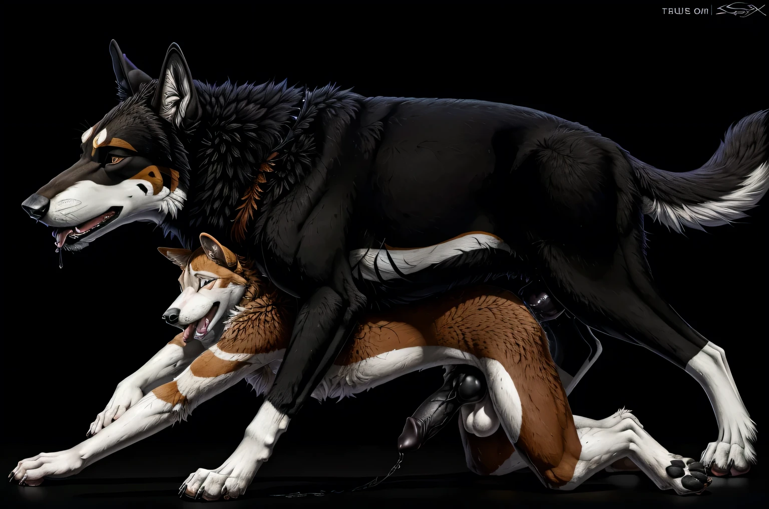 A large feral wolf mounting and penetrating a much smaller male anthro canine in doggy style viewed from the side, duo, anal sex, big dom small sub, doggy style position+, large penetration, feral penetrating anthro, canine penis, knotted penis, black penis+, big penis, big testicles, masterpiece, hi res, 4k resolution, high resolution, by Sigma_X, by Truegrave9, looking pleasured, hyper muscles, bubble butt, veiny penis, dominant feral, presenting, plain background, dark background,