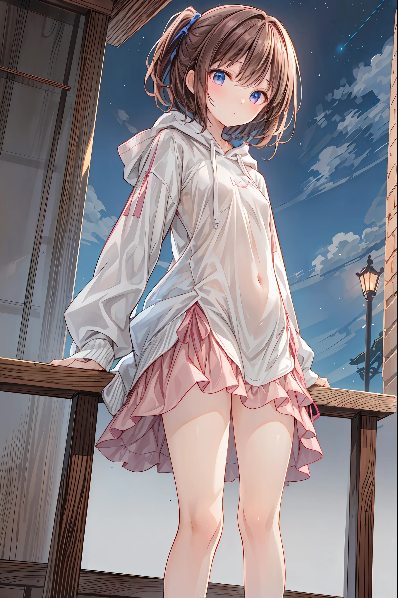 (( top quality)), ( very detailed), ( High Leg Cut ), 高いly detailed, 高い-definition raw colbor photos, professional photoshoot, The depth of the written boundary, pink,Wear a hoodie。Nice,Beautiful night view background, standing on tiptoes , upright,Correct posture, rear view, small breasts, flat chest,((from below:1.2)),