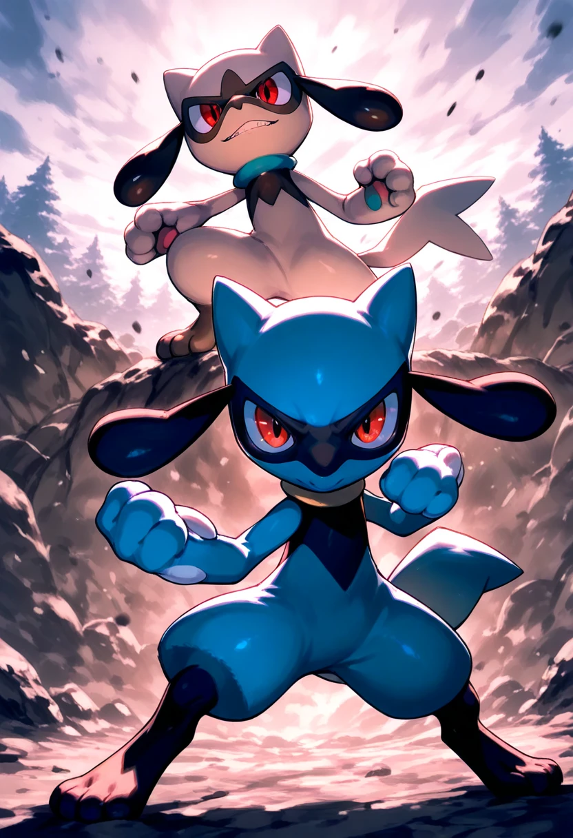 riolu (pokemon), fighting stance, standing, looking at viewer,