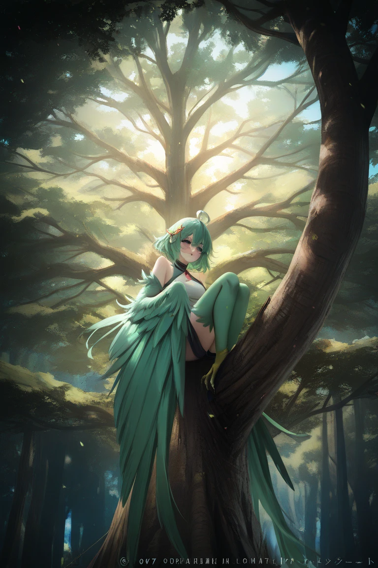 harpy girl, harpy village in a giant tree